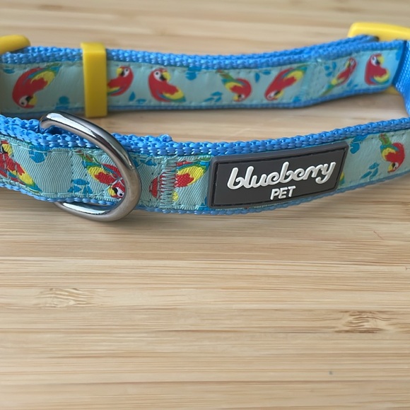 Blueberry Pet Dog Collar 🦜 - Picture 5 of 6